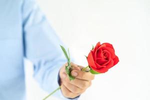 hombre que sostiene la rosa roja en la mano en blanco foto