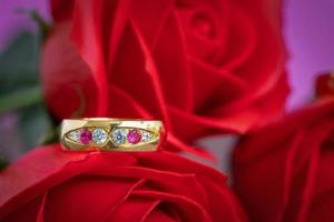 Close up wedding ring and red rose photo