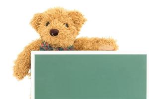 Teddy bear with empty green board photo