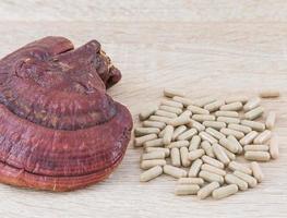 Ganoderma lucidum capsule  Ling zhi mushroom photo