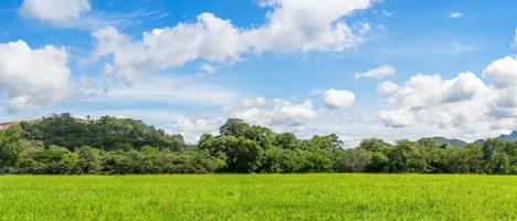 Panorama landscape view of green grass field agent blue sky photo