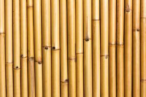 Wall of bamboo photo