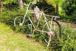 Old white bicycle with rusty in garden photo