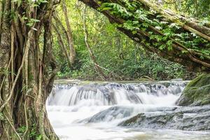 Jedkod waterfall at Khao Yai National park,Thailand photo