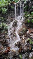 A small waterfall that occurs when it rains heavily in the forest. photo