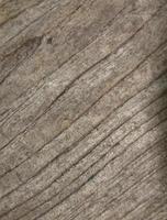 close-up--pattern-pattern of the light brown tree and the details of the surface-beautiful naturally create traces-deep-shallow-thick and thin. photo