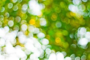 Abstract bokeh background photo