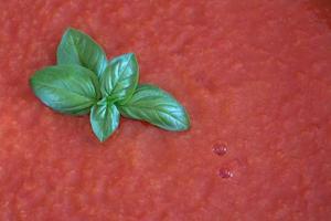 Background and texture of red fresh tomato sauce topped with a small bunch of basil. There is space for text. photo