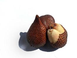 zalacca or snakefruit isolated on white background photo