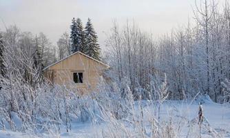 Wooden house at edge of forest. One-storey cottage in winter weather. Single private house near forest. Country house. Trail goes to cottage in middle of snowdrifts. Cottage on a sunny winter day