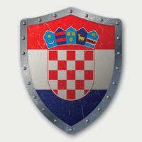 Old Shield with Flag vector