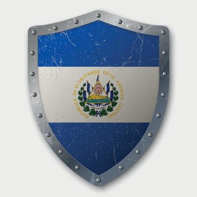 Old Shield with Flag
