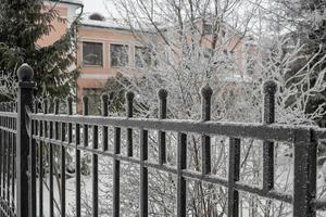 Frost on a wrought-iron fence in the morning after a cold winter night photo