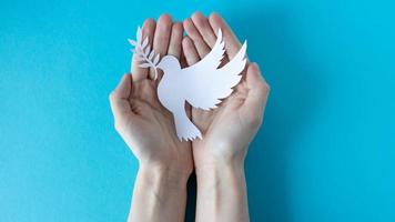 Hands holding a paper white pigeon on a blue background. World Peace Day. World Science Day for Peace and Development. photo