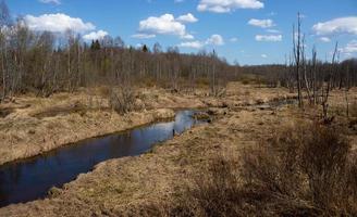 Spring landscape of dry grass and trees and a small forest river photo