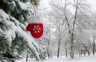 manopla roja tirada en la nieve en invierno. decoración festiva. árbol de Navidad. manopla colgando de una rama. tradiciones navideñas y de año nuevo. espacio para su texto. foto