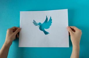 Hands holding a paper pigeon stencil on a blue background. World Peace Day. World Science Day for Peace and Development. photo