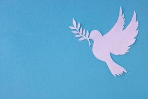 una paloma blanca cortada de papel para el fondo del día mundial de la paz. día mundial de la ciencia para la paz y el desarrollo. lugar para tu texto foto