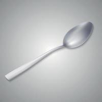 realistic metal spoon. vector