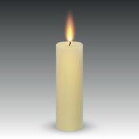 realistic paraffin burning candle vector