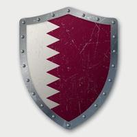 Old Shield with Flag vector