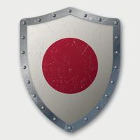 Old Shield with Flag vector