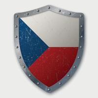 Old Shield with Flag vector