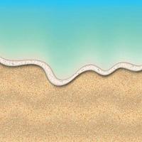 Sand of the beach vector
