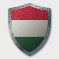 Old Shield with Flag vector