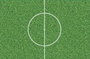 Green grass texture vector