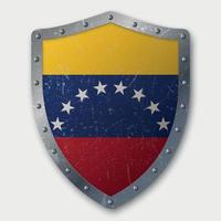 Old Shield with Flag vector