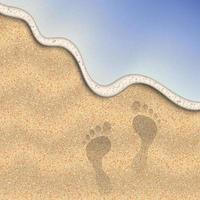 Sand of the beach vector