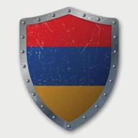 Old Shield with Flag vector