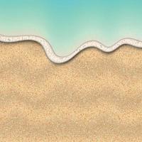 Sand of the beach vector