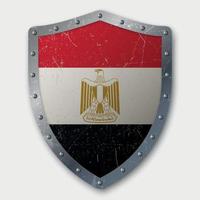 Old Shield with Flag vector