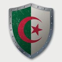 Old Shield with Flag vector