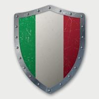 Old Shield with Flag vector