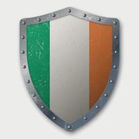 Old Shield with Flag vector