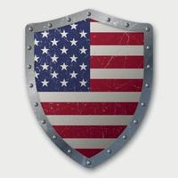 Old Shield with Flag vector