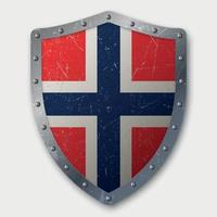 Old Shield with Flag vector