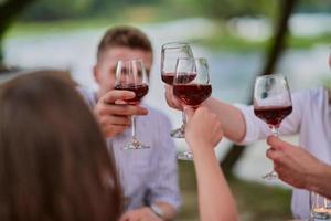 amigos brindando con una copa de vino tinto mientras hacen un picnic cena francesa