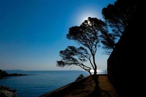 view of the cliffs of the Catalan Costa Brava photo