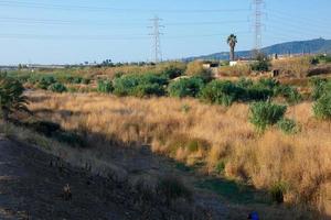 dry grass in the vicinity of the river during the summer season photo