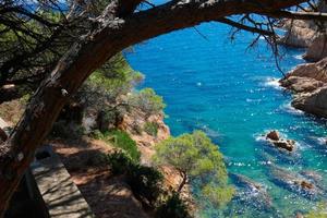 costa escarpada, costa mediterránea en la costa brava catalana, sant feliu de guixols foto