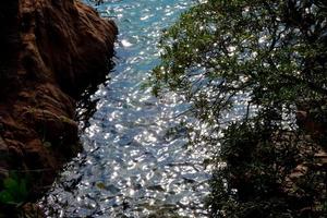 View of the Catalan Costa Brava, Sant Feliu de Guixols, Spain photo