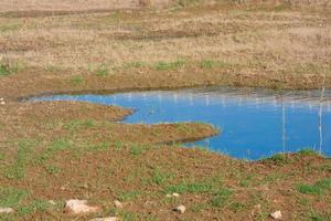 Wetlands in the vicinity of a river photo