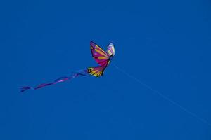 colourful kite flying under the blue sky photo