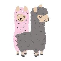 lindo lama alpaca pareja vector