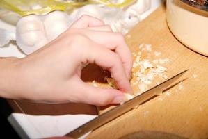 Cutting up onion photo