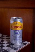 Gin Tonic Gordons photo